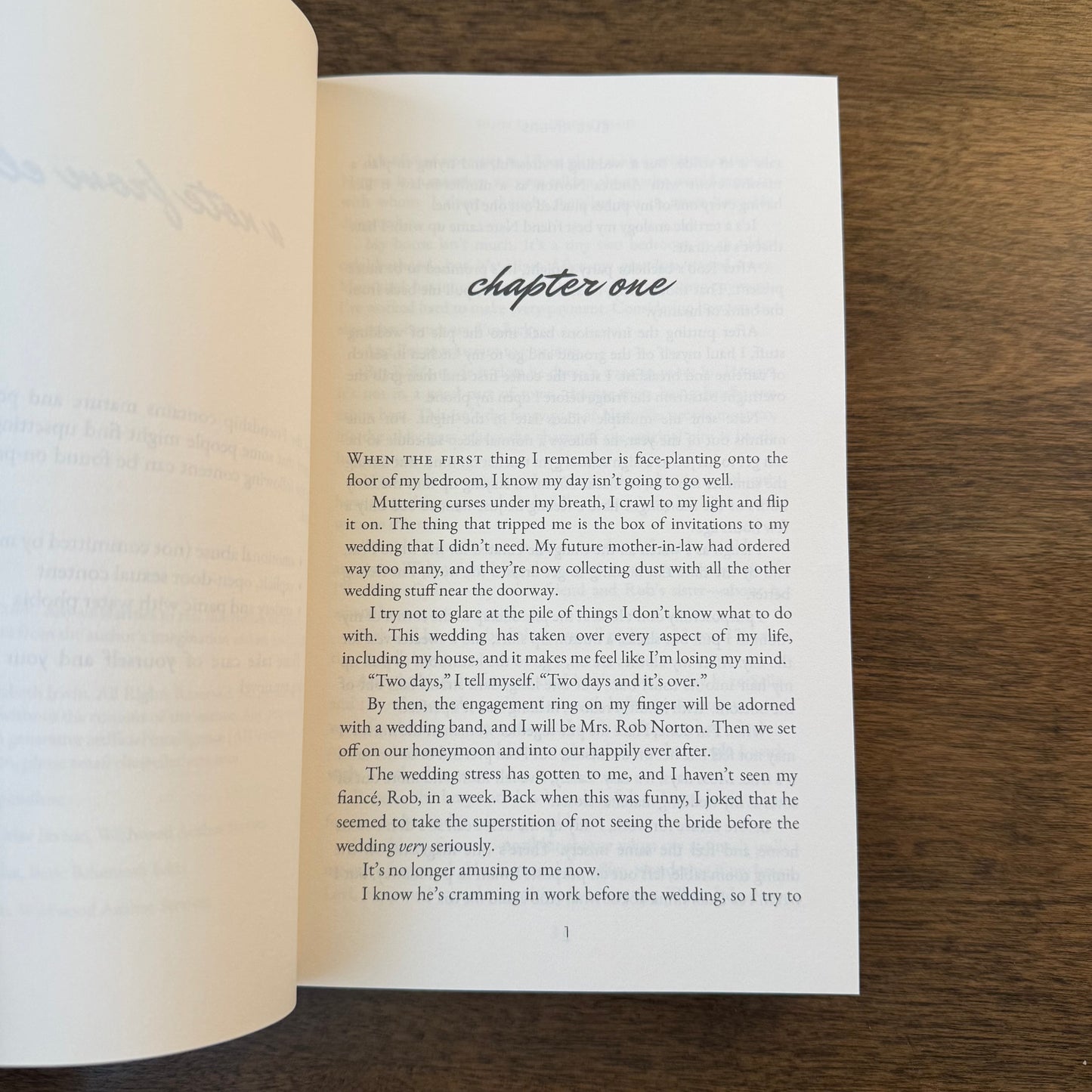 Ruin the Friendship Signed Paperback with Art Pack